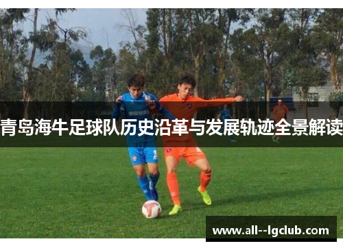 青岛海牛足球队历史沿革与发展轨迹全景解读 青岛海牛足球队历史沿革与发展轨迹全景解读