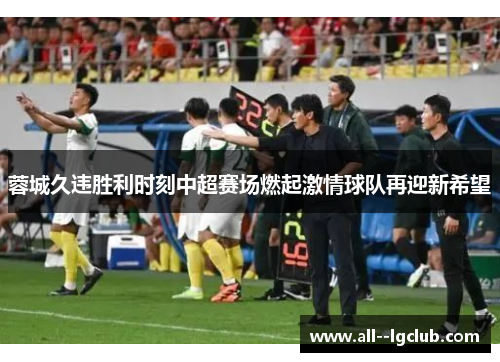 蓉城久违胜利时刻中超赛场燃起激情球队再迎新希望 蓉城久违胜利时刻中超赛场燃起激情球队再迎新希望